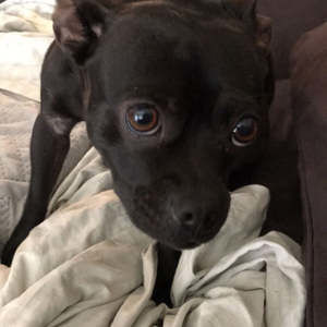 Meet your Posher, Evan